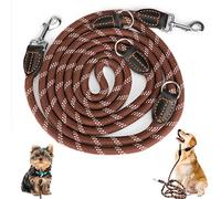 Correa Ajustable para Perros de 3 m, Nailon, Doble Correa, Brilla en la Oscuridad, con Refuerzo Premium, Apta para Perros Grandes y medianos, 15 mm de Ancho, Verde neón (marrón)