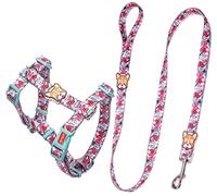 Correa de Adiestramiento Juego De Arnés Y Correa para Perros para Mascotas Pequeñas Y Medianas Juego De Correa Y Arnés para Perros Collar Cuerda Correa Pug Pet Correa Antitirones Perro (Color : D)