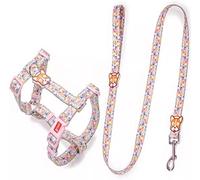 Correa de Adiestramiento Juego De Arnés Y Correa para Perros para Mascotas Pequeñas Y Medianas Juego De Correa Y Arnés para Perros Collar Cuerda Correa Pug Pet Correa Antitirones Perro (Color : C)