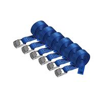 Correa de Amarre cinturón de Amarre con Hebilla - Azul - 1m 2,5m 4m 6m - Diferentes cantidades Resistente a 250 kg DIN EN 12195-2, 6 Piezas 2.5 cm x 4 m