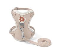 Correa de arnés para perros de moda de longitud ajustable para el pecho de la mascota, cuerda de tracción trasera con hebilla resistente para mascotas al aire libre, correa para perro