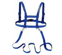 Correa de caballo para jugar para niños, correa de caballo para niños, regalos de Pascua, juegos al aire libre, caballos de hobby, regalos para niñas, arnés ajustable, color azul, para exteriores