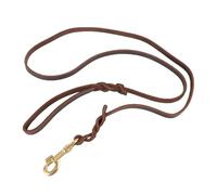Correa de Control de Perros de Cuero, Accesorio de Moda Artificial Fuerte, Manejo Cómodo, Entrenamiento de Mascotas, Entrenamiento de Entrenamiento Al Aire Libre Jugando