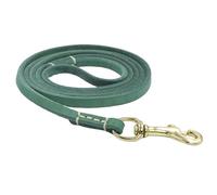 Correa de Cuero Genuino for Perros, Hecha a Mano, Duradera, portátil, Ligera, Suave y auténtica, for Perros pequeños y medianos.(Green,0.8 * 175cm)