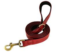 Correa de Cuero para Perro de 1,5 m, Duradera, para Entrenamiento de Paseo, para Perros pequeños, medianos y Grandes, Pitbull, Carlino y Pastor alemán.