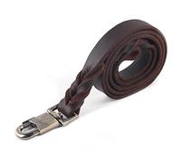 Correa de de Cuero, 1pc Collar y Correa de de Cuero Suave en la Cadena Trenzada del Animal doméstico de la Ventaja del Ancho del Entrenamiento del 2.5cm(2.5 x 120cm)
