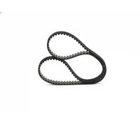 BOSCH 1 987 946 806 Correa dentada