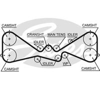 Gates 5612XS Correa Dentada