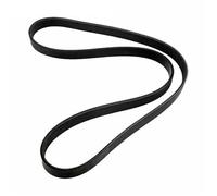 Correa de distribución 57-865615Q03 Correa Serpentina Compatible con Motores V6 V8 para número de Pieza 57-865615-003 57-865615Q03 862087 862087A1