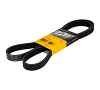 Correa De Distribución 6PK1623 Para Audi Citroën Opel Volvo VW