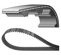DAYCO 94331 Correa dentada