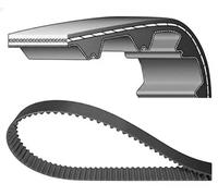 DAYCO 94413 Correa dentada