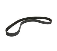 CONTITECH CT1014 Correa