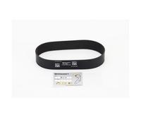 Correa de distribución CT2001 CONTINENTAL CTAM