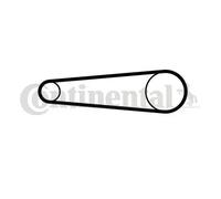 Correa de distribución CT1158 CONTINENTAL CTAM para BMW F