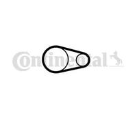 Correa de distribución CT2001 CONTINENTAL CTAM