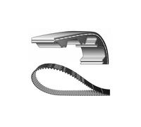 Dayco Correa trapezoidal 10A0545C929 para Ducati Monster 620 (941169)
