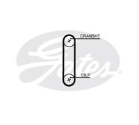 Correa de distribución GATES GATT364HOB