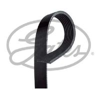 Correa De Distribución Original GATES 7PK1203EST Para Renault