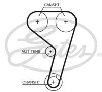 Correa de distribución T354HOB GATES para FORD FOCUS III FOCUS III Turnier B-MAX