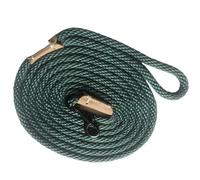 Correa de Entrenamiento for Perros, Correas de Seguimiento Ligeras for Perros pequeños y medianos Correa Larga for Perros Correa for Perros(Light Green,200cm)