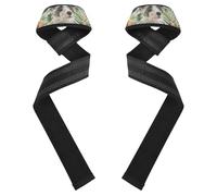 Correa de muñeca de levantamiento de peso muerto para perros, estilo bohemio, tropical, retro, de 26 pulgadas, para entrenamiento, gimnasio, levantamiento de potencia, culturismo