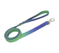 Correa de nailon para perro de 59 pulgadas con degradado arcoíris, gancho giratorio seguro y mango cómodo para paseos fáciles, se adapta a todos los tamaños de perro