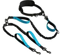 Correa de perro de doble asa | Correa de perro de cuerda con doble asa | Correa de cuerda larga y corta (azul cielo)