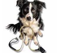 Correa de perro hecha a mano de lujo, cordón amarillo y cuero negro para perros pequeños y cachorros, fabricada en el Reino Unido, cuero italiano teñido vegetal y pana ancha de gala, correa de