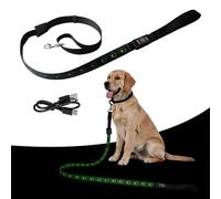 Correa de perro LED de 1,2 m para perros, recargable por USB, correa reflectante para perros, adecuada para mascotas grandes, medianas y pequeñas (verde)
