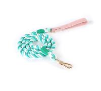 Correa de perro tejida de 120 cm/150 cm, degradados, color flexible, cuerda de tracción para conejos para caminar, productos de entrenamiento, correas largas de entrenamiento
