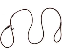 Correa de Piel auténtica para Perros pequeños y medianos, Ligera, Delgada Pero Resistente, Ajustable, Suave y Delgada, 5 pies x 1/5 Pulgadas