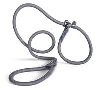 Correa de retriever de 150 cm para perros grandes y pequeños, collar con correa integrada, correa antideslizante y correa de entrenamiento para perros - Correa guía para labrador y retriever