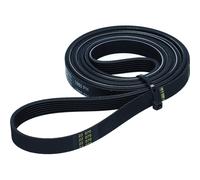 Correa De Secadora 1980PH7 Whirlpool Bauknecht 481281728435 Electrolux647120370