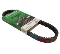 DAYCO HP2022 Correa de transmisión, CVT