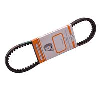Dayco Correa de transmisión para Scooter Peugeot 125 SV 1991-1995