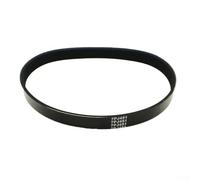 Correa de transmisión de repuesto 7PJ451 con 7 varillas para cortacésped Bosch ROTAK 320, 16 mm de ancho, 451 mm, circunferencia exterior, correa de goma para mantenimiento del césped (1 unidad)