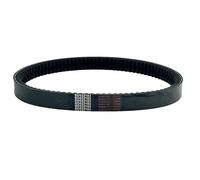 Correa de transmisión Dentada Correa Transmisión Para Codlice Para Casalini Para M20 Para Motor Para DCI EPCOUR043 BD522183 Sincronizadas Embrague Transmisión Goma Distribución