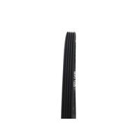 Correa De Transmisión For Lavadora 5EPJ1225, Compatible Con Hoover Candy, Lavadora 41021973, 41039460 Y 1225J5(1pcs)