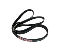 Correa de transmisión para secadora 1860 9PHE CONTITECH 144001958