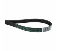 Correa De Vientre 1239PJ5E Compatible Con Whirlpool 481235818215 Lavadora