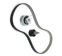 Correa dentada Compatible Con VW Para Golf Para Passat Para Jetta El Kit De Modificación Correa De Distribución Tensor Accesorios Repuestos EA211