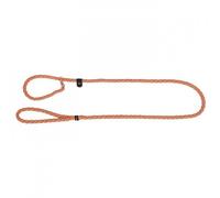 Kerbl Maxi Safe - Correa antideslizante (170 x 12 mm), color naranja