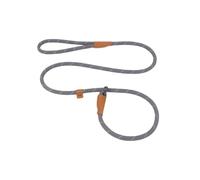 Correa deslizante para perro, 5 pies, 2 tamaños, cuerda reflectante para escalada de montaña (gris, 2/1)