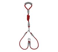 Correa Doble para Perros Correa for Perros Paseo Doble Cadena Plomo 2PCS | Uno o dos cables con suministros for mascotas(Hong-C)