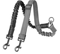 Correa doble para perros de 16 pies de largo - Correas dobles para adiestrar perros pequeños y grandes, elástico amortiguador ajustable (GRY)