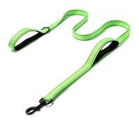 Correa elástica for Mascotas de 2,5 x 150 cm y 2,5 x 180 cm, de Nailon Reflectante, Ideal for Perros pequeños, medianos y Grandes.(Green,2.5 * 180cm)