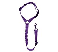 Correa elástica para mascotas, arnés ajustable para coche con diseño reflectante para cachorros, perros grandes, correas de nailon para coche