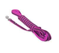 Correa engomada 20mmx10 m Rosa con asa