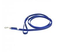 Correa IDC Color & Gray con asa y anillo en D, 20 mm x 2 m, Azul-Gris
